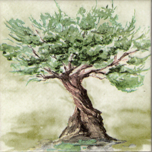 Dekobild olivenbaum mediterran - dekobild,